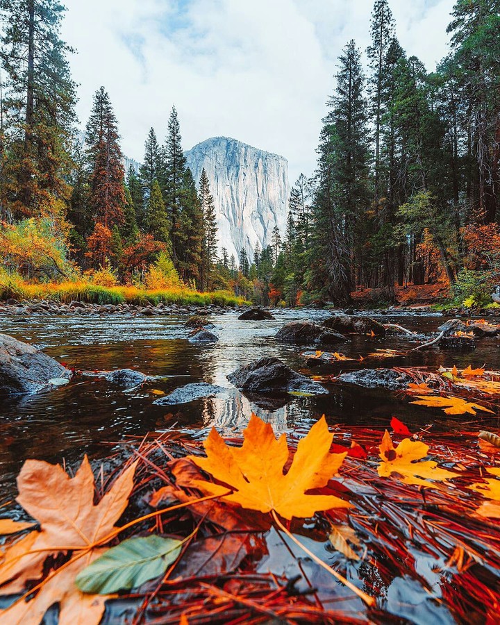 осень