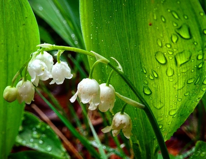 I love spring time