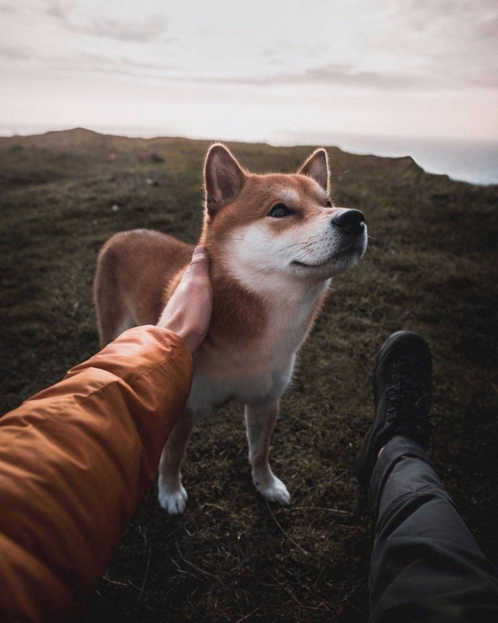 Милота