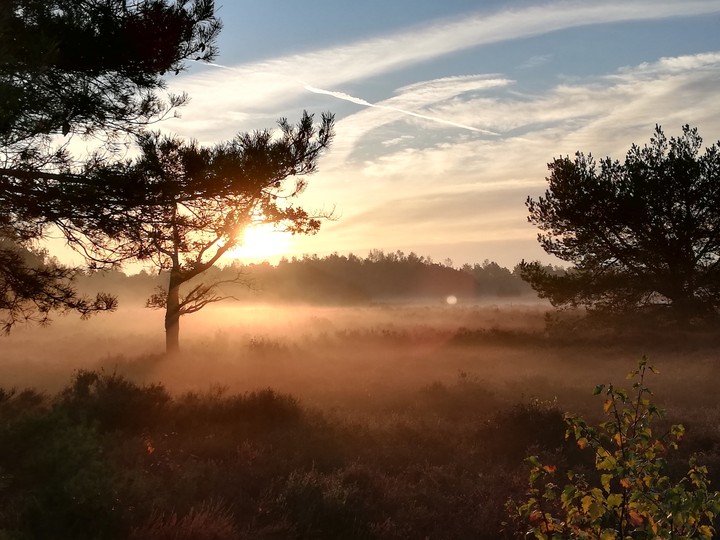 misty morning