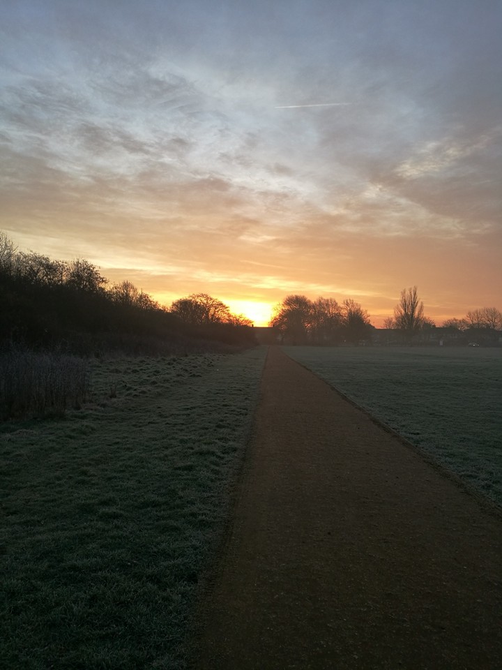 frosty morning