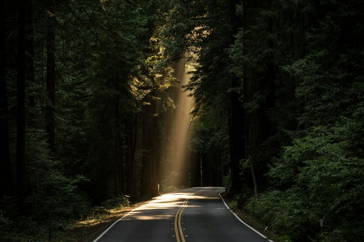 Sunny curve