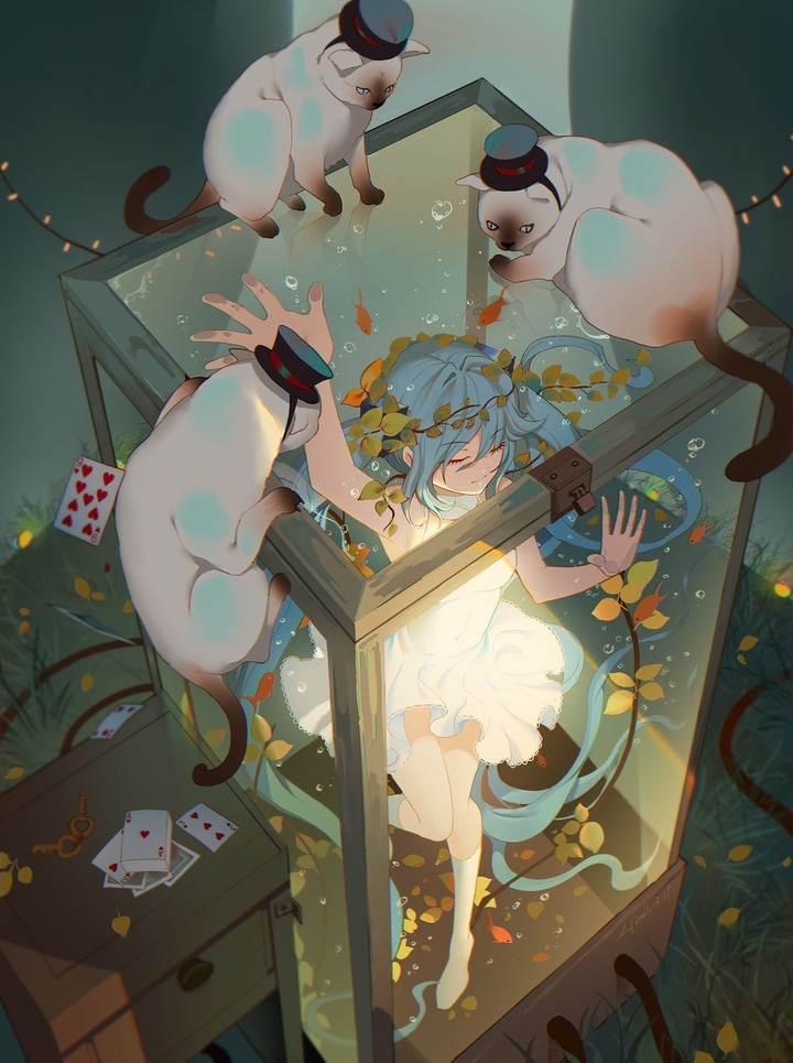 Anime ~