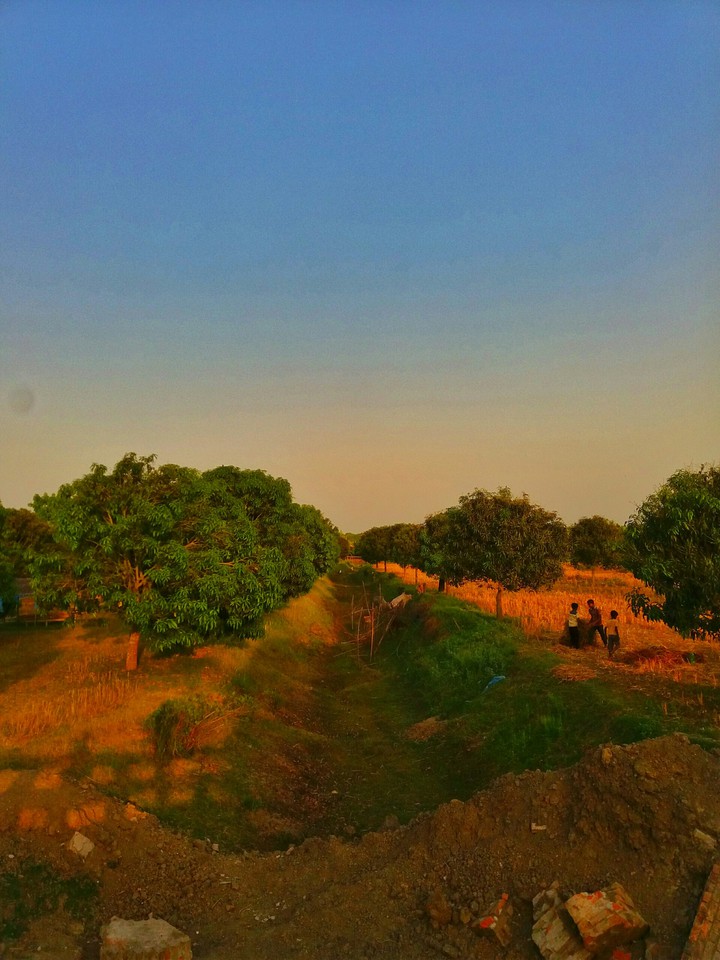 nature