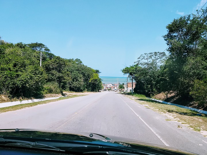 A gratidão não custa nada - e tem um valor imenso!