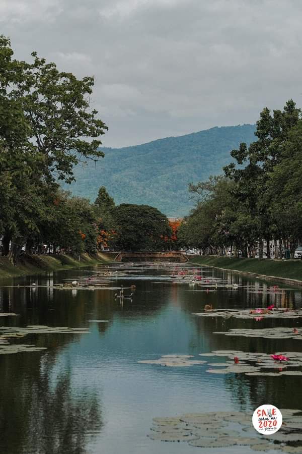 chiangmai