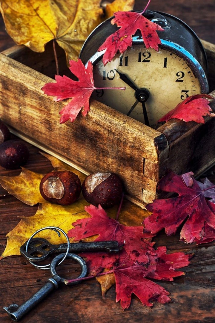 autumn
