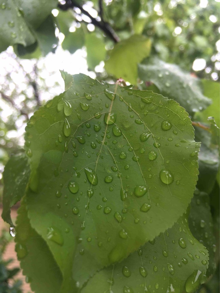 rain☔️