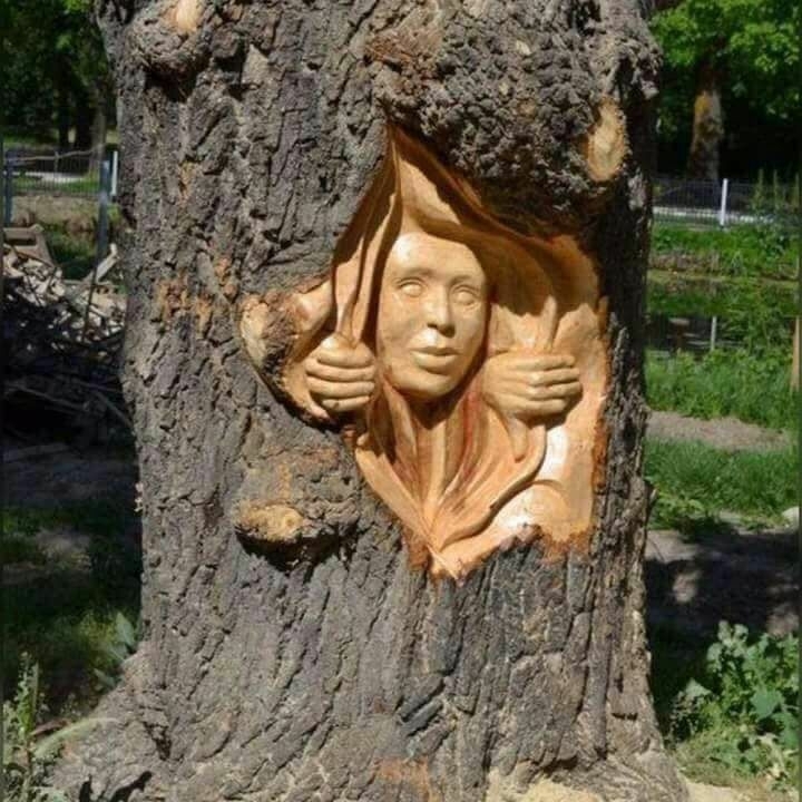 tree girl