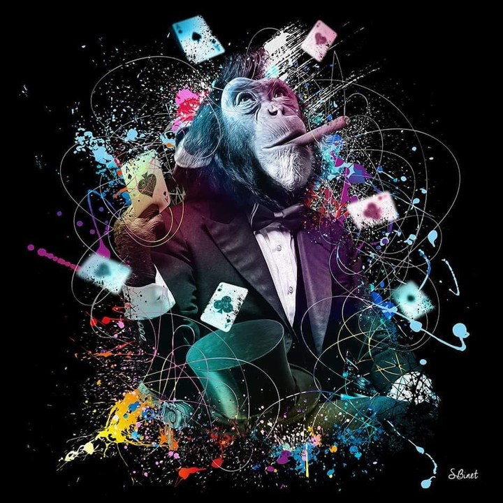 biret. singe intelligent