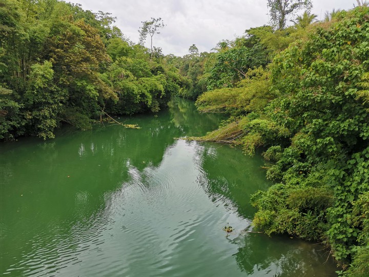 Loboc River