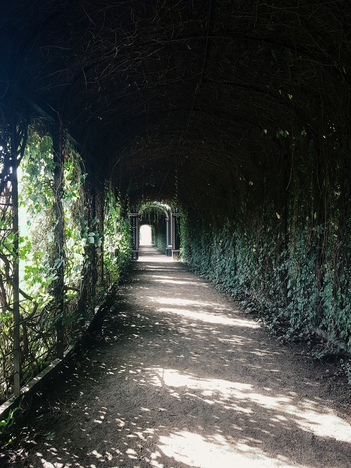 Highway to nature