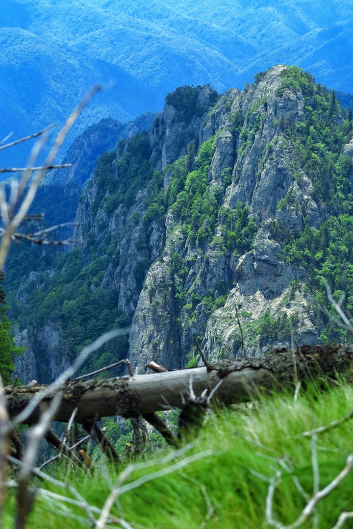 munti