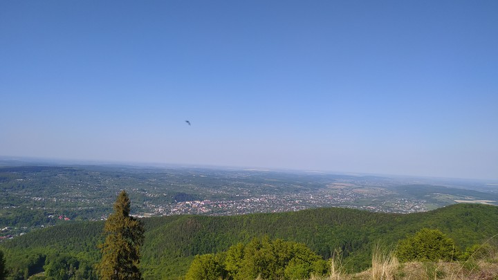 # nature