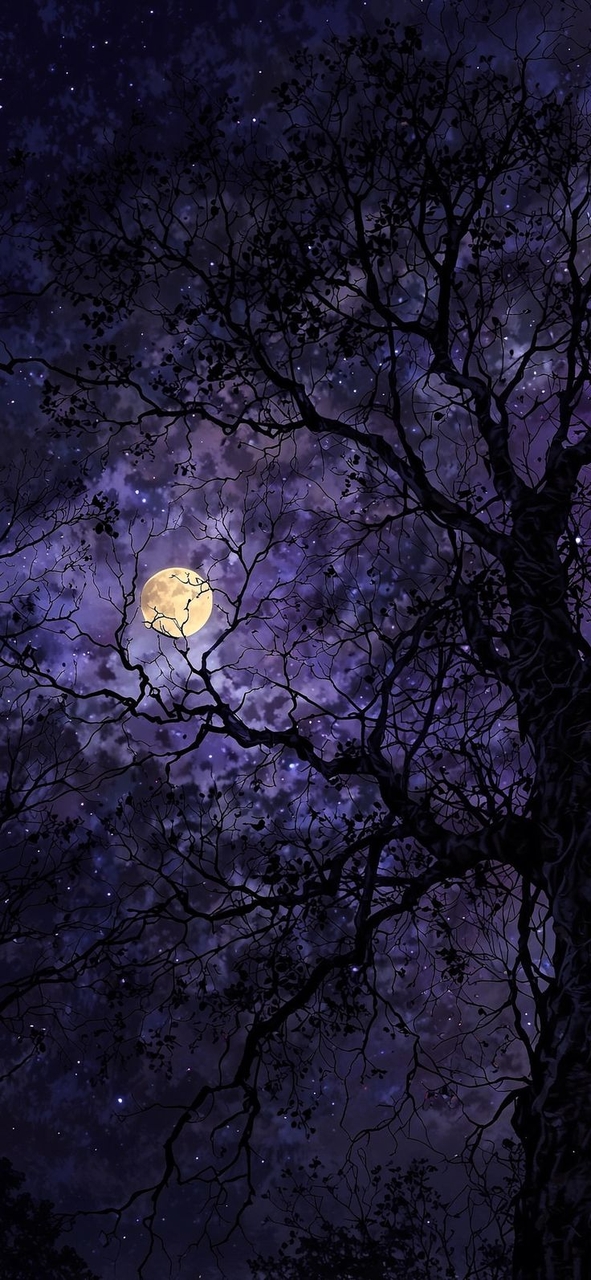 sfondi Midnight, moonlight