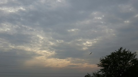 My click