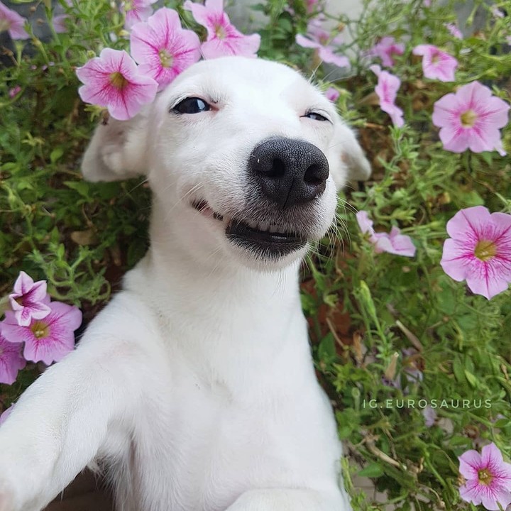 .....
