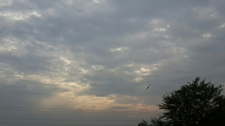 My click