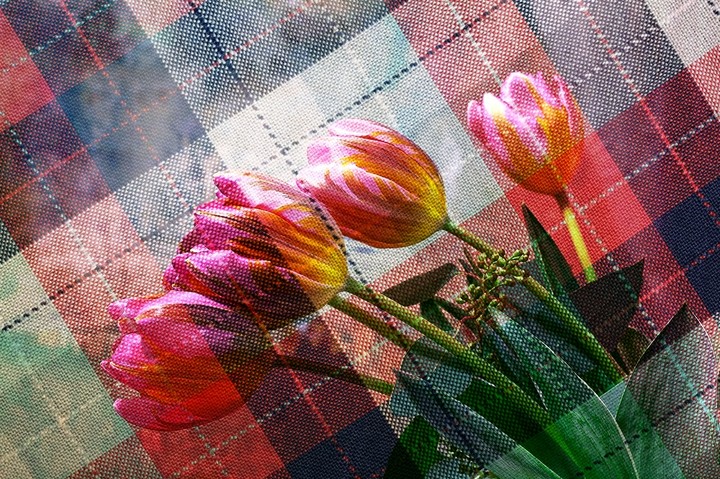 Flowers!