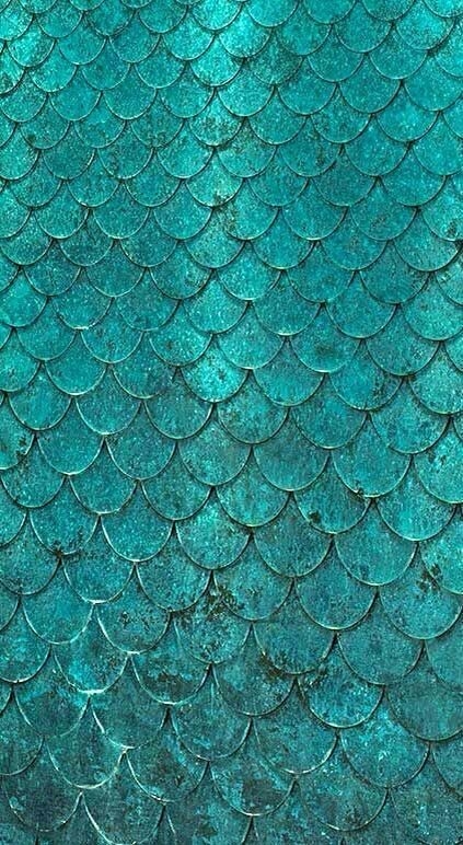 summer wallpaper