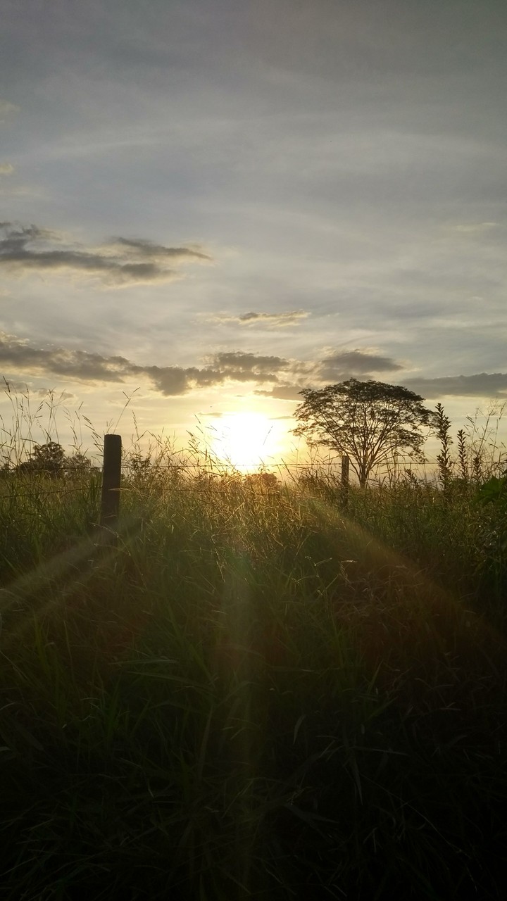 Paz, tranquilidade; recomeço.