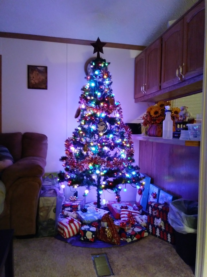 this is this is our Christmas tree