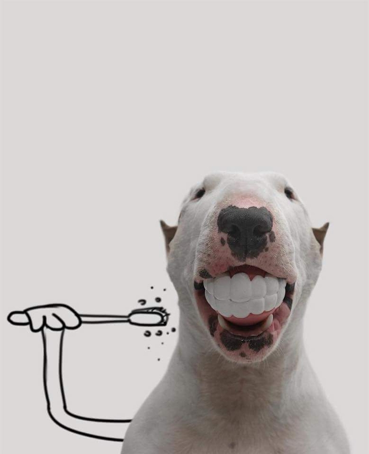 brushing teeth