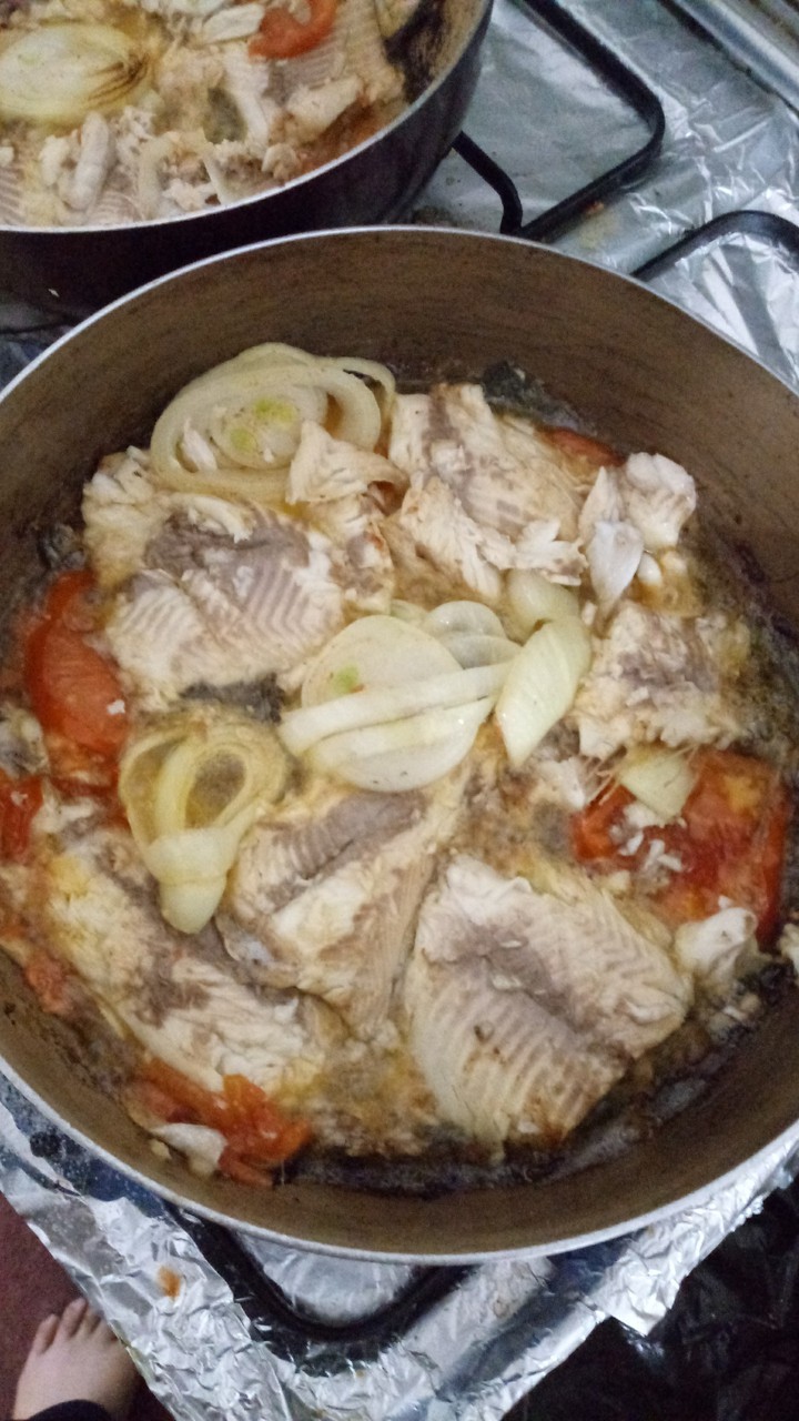 ماسی تەماتە