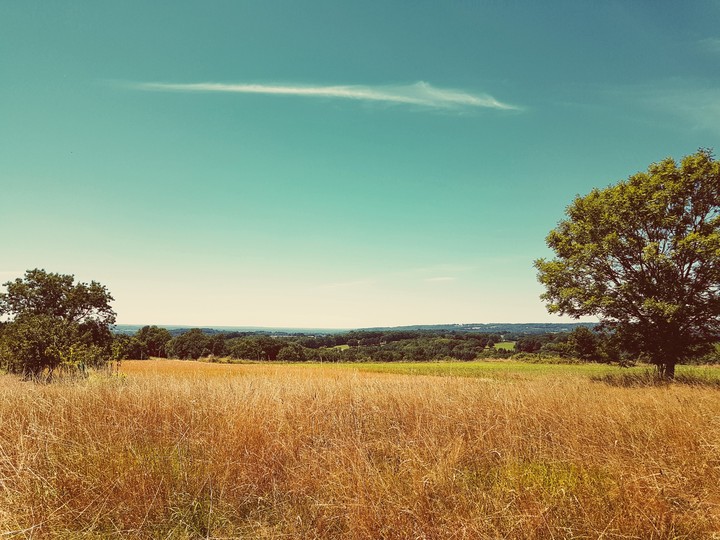 france view