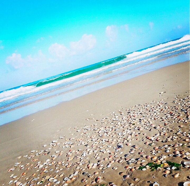 sea