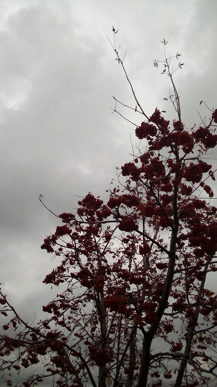 Autumn