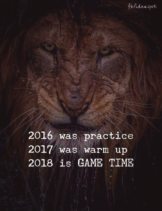 lion