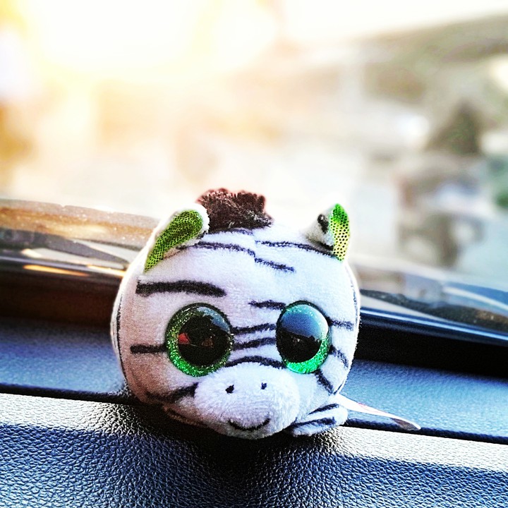 my car companion