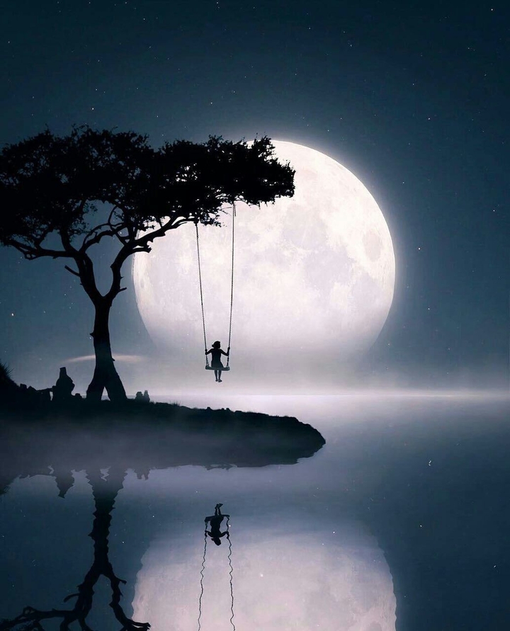 moonlight bay