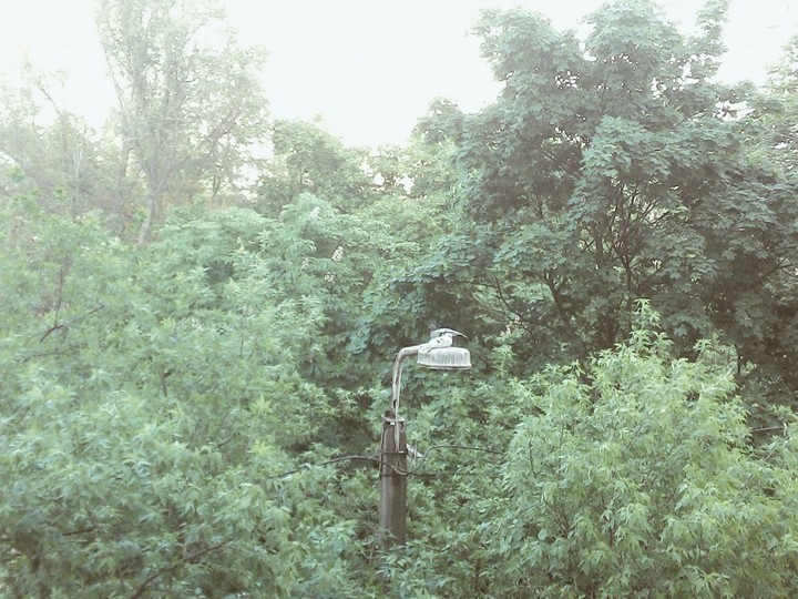 Инь Ян
