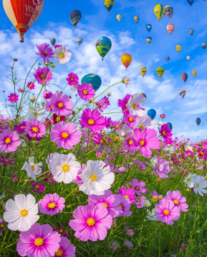 ♧♡~•°♧♡~•°♧♡