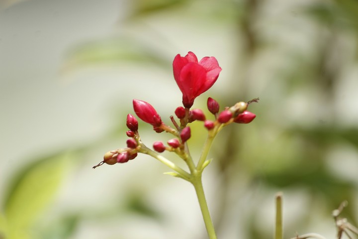 beauty of nature