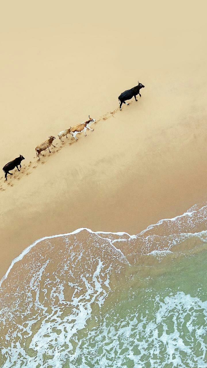 Google Pixel 2 HD wallpaper