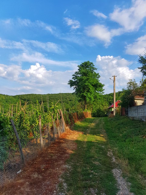 Dumitra village, AB, Romania