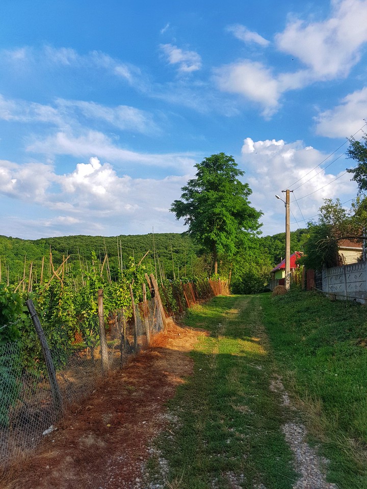 Dumitra village, AB, Romania