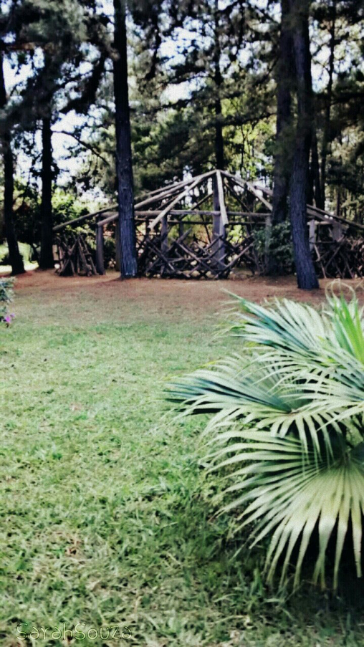 Jardim Botânico_Brasília