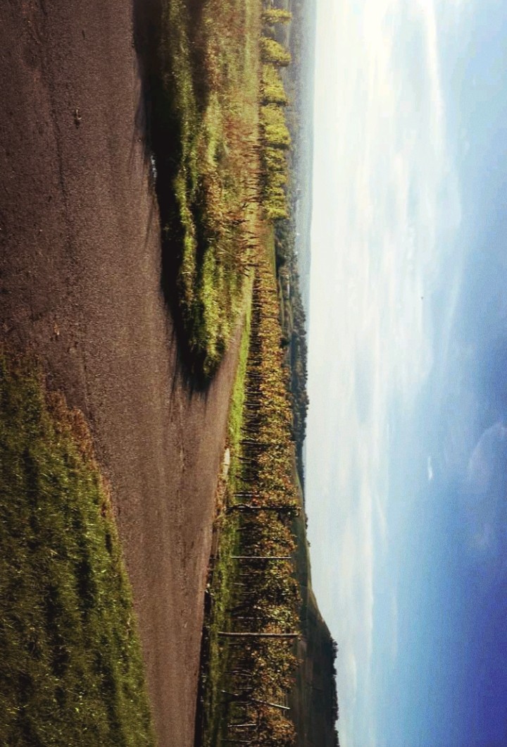 Natur pur
