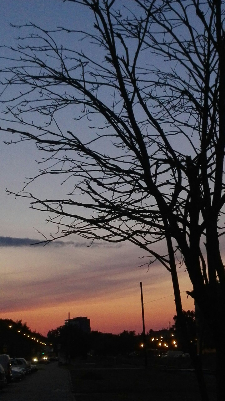 night
