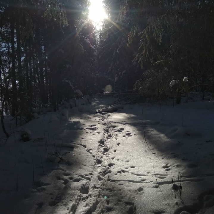 snow