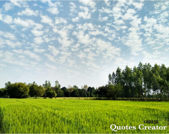 Indian Village scene -2