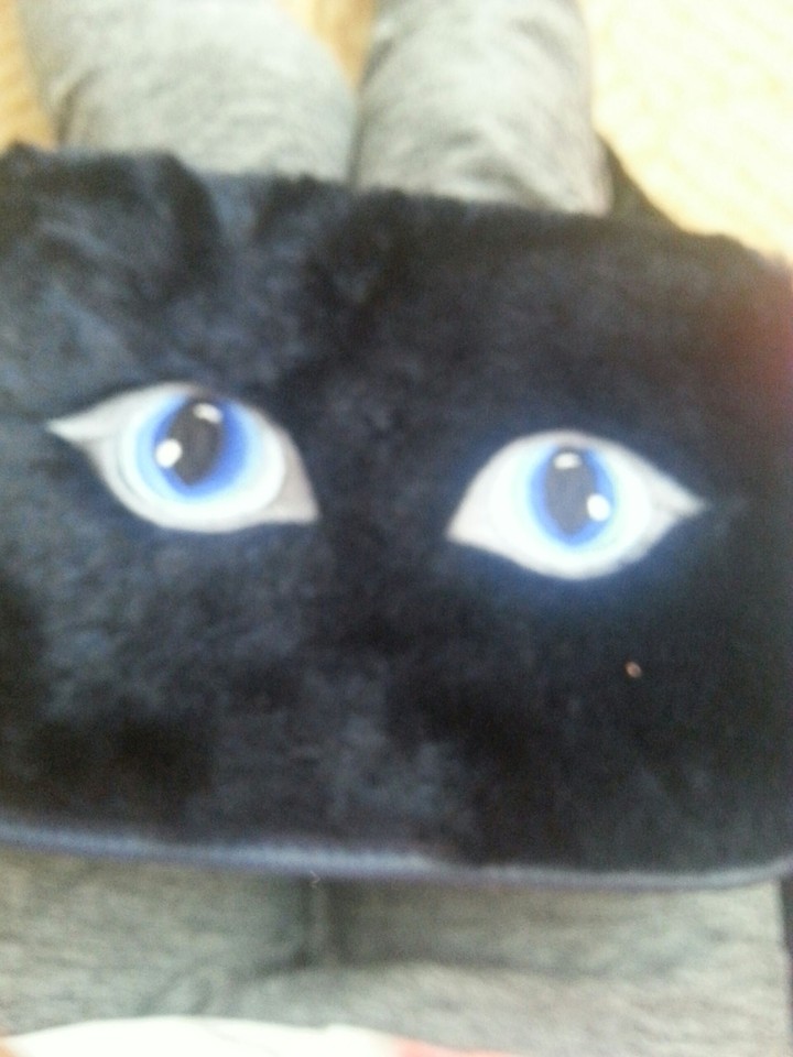pencil case^.^