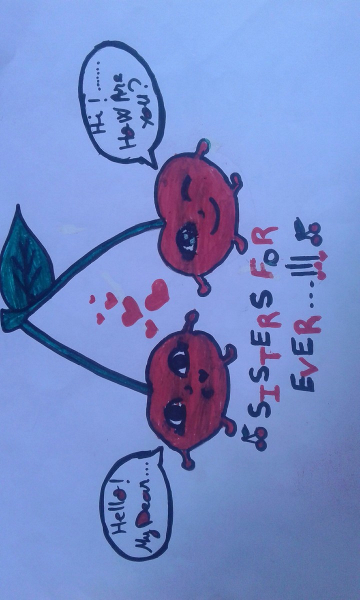 lovely cherries