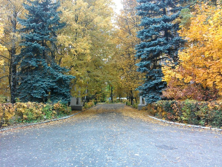Золотая осень