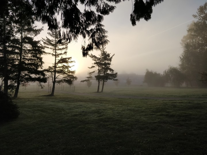 Fog