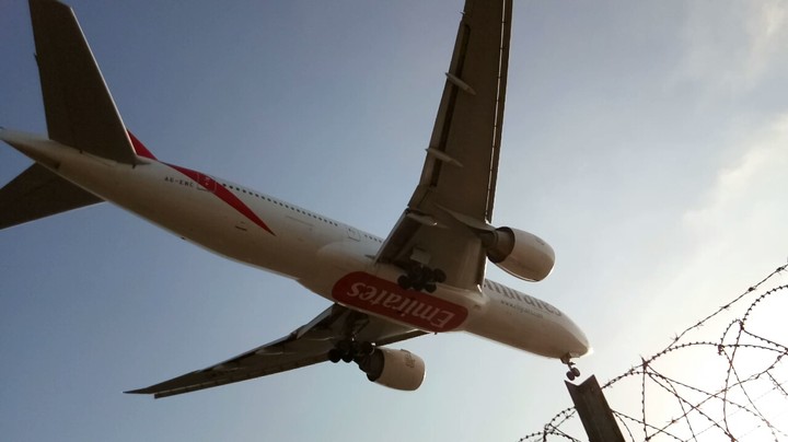 Plane